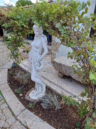 Refa Gio Das Artes fotoÄŸrafÄ±
