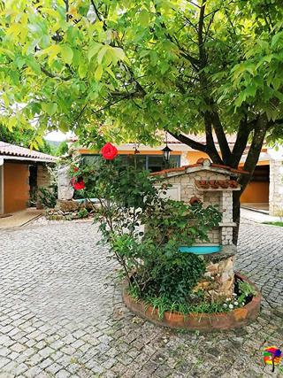 Refa Gio Das Artes fotoÄŸrafÄ±