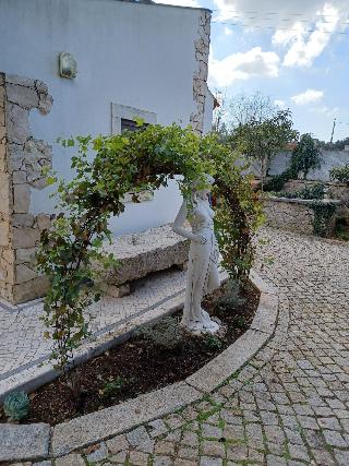 Refa Gio Das Artes fotoÄŸrafÄ±