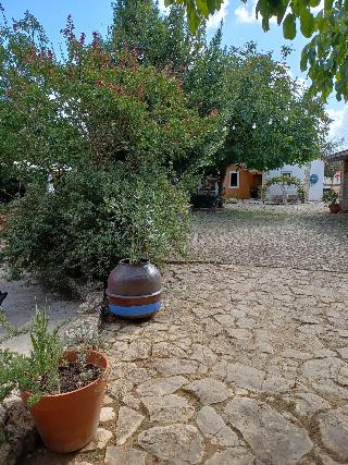 Refa Gio Das Artes fotoÄŸrafÄ±