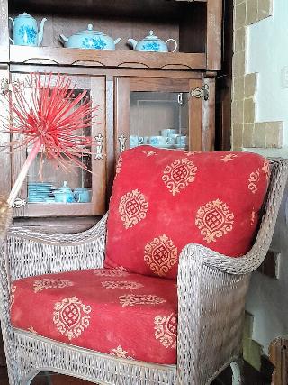 Refa Gio Das Artes fotoÄŸrafÄ±