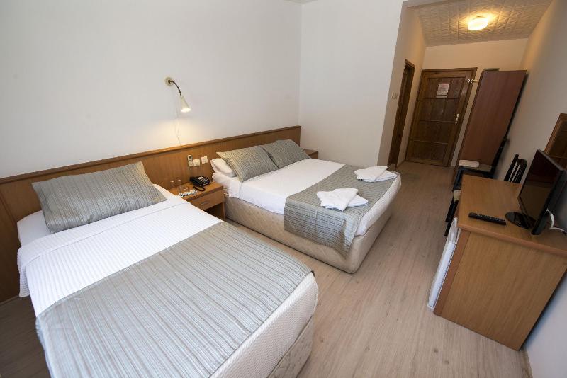 Otel Diyojen - Oda