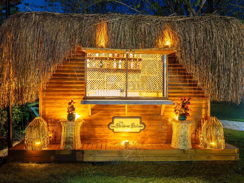 Concorde De Luxe Resort - Bar