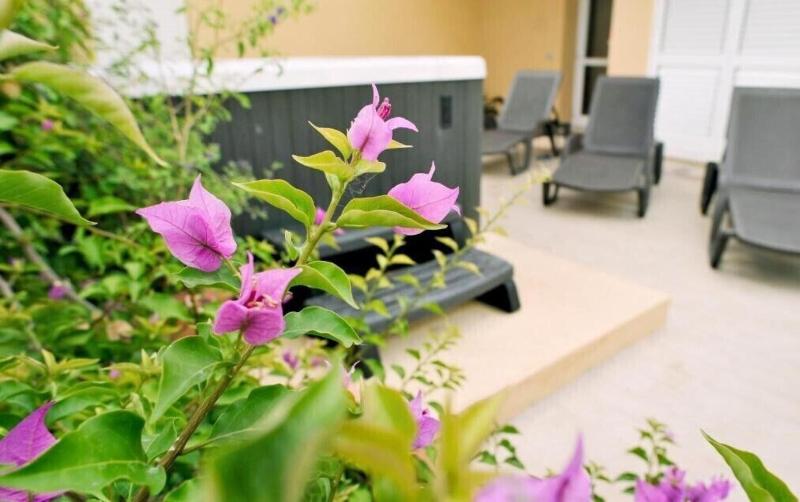 Hotel Lido Inn - Teras