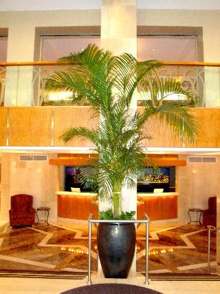 San Carlos Hotel fotoÄŸrafÄ±