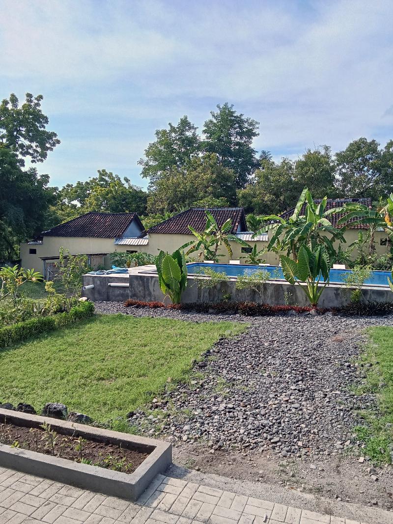 Scuba Tribe Bali - Oda