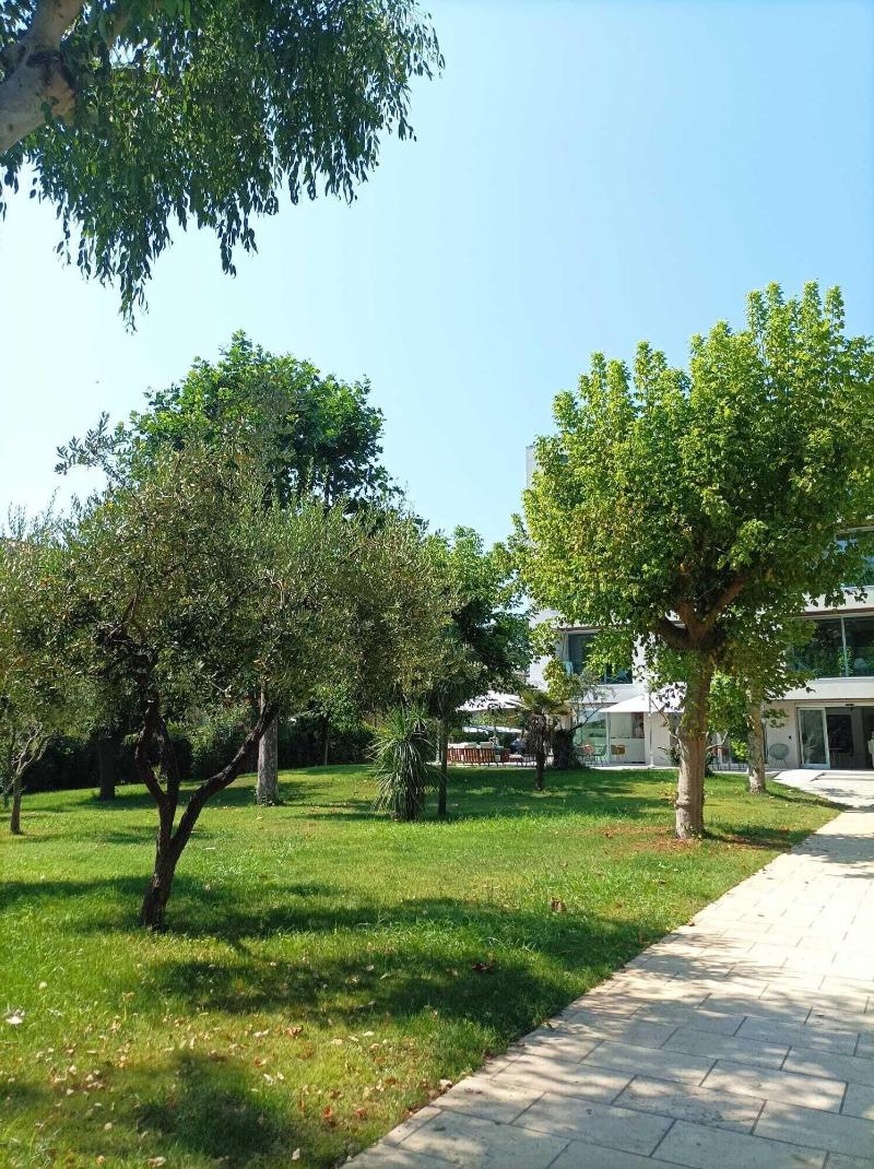 Marina Gardens Boutique & Suites - Genel