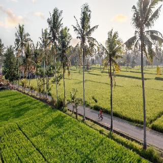 TheWakanda Resort A Pramana Experience fotoÄŸrafÄ±