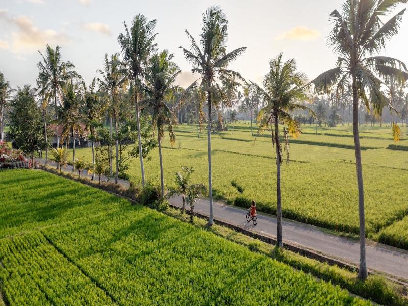 TheWakanda Resort A Pramana Experience - Aktivite