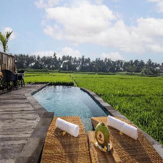 TheWakanda Resort A Pramana Experience fotoÄŸrafÄ±