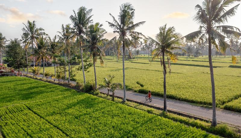 TheWakanda Resort A Pramana Experience - Genel