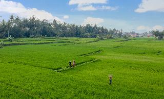 TheWakanda Resort A Pramana Experience fotoÄŸrafÄ±