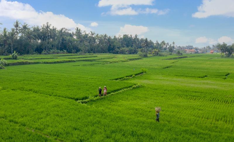 TheWakanda Resort A Pramana Experience - Genel