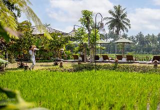 TheWakanda Resort A Pramana Experience fotoÄŸrafÄ±