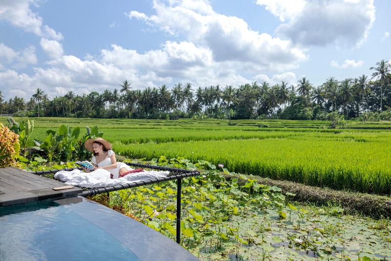 TheWakanda Resort A Pramana Experience - Oda