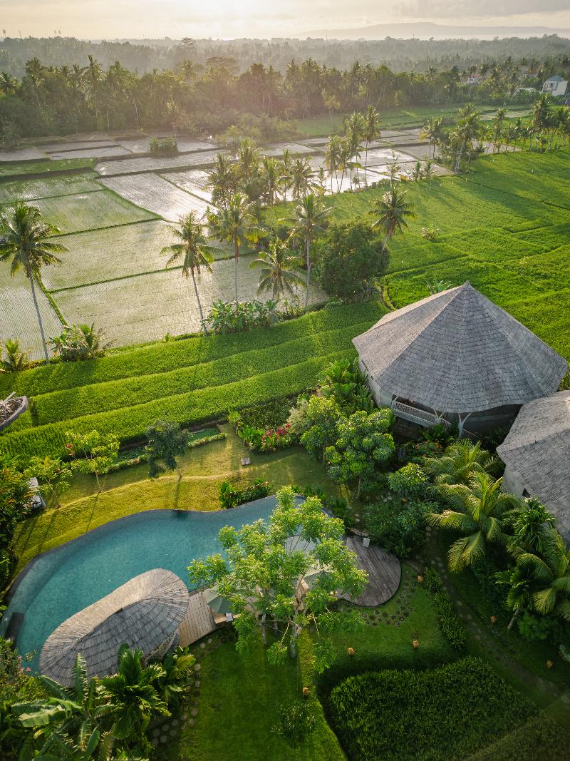 TheWakanda Resort A Pramana Experience - Havuz