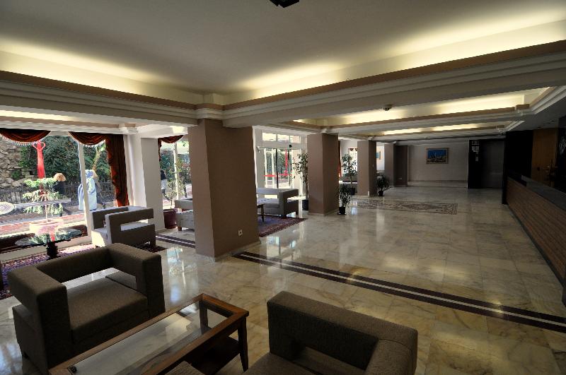 Surtel - Lobi