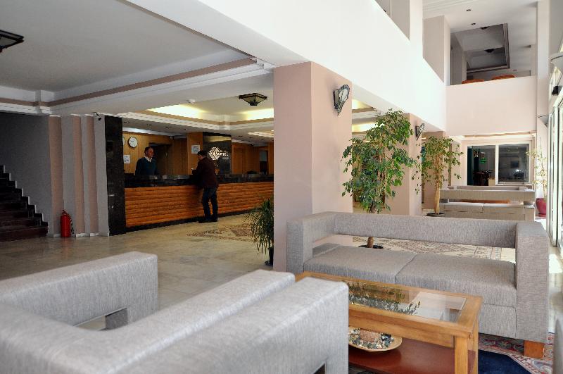 Surtel - Genel