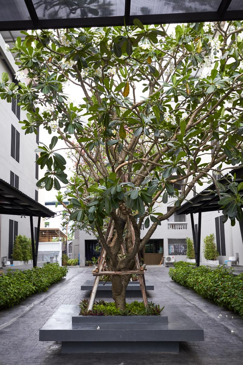 Almas Hotel Bangkok - Genel