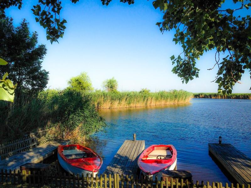 Seehotel Rust - Aktivite