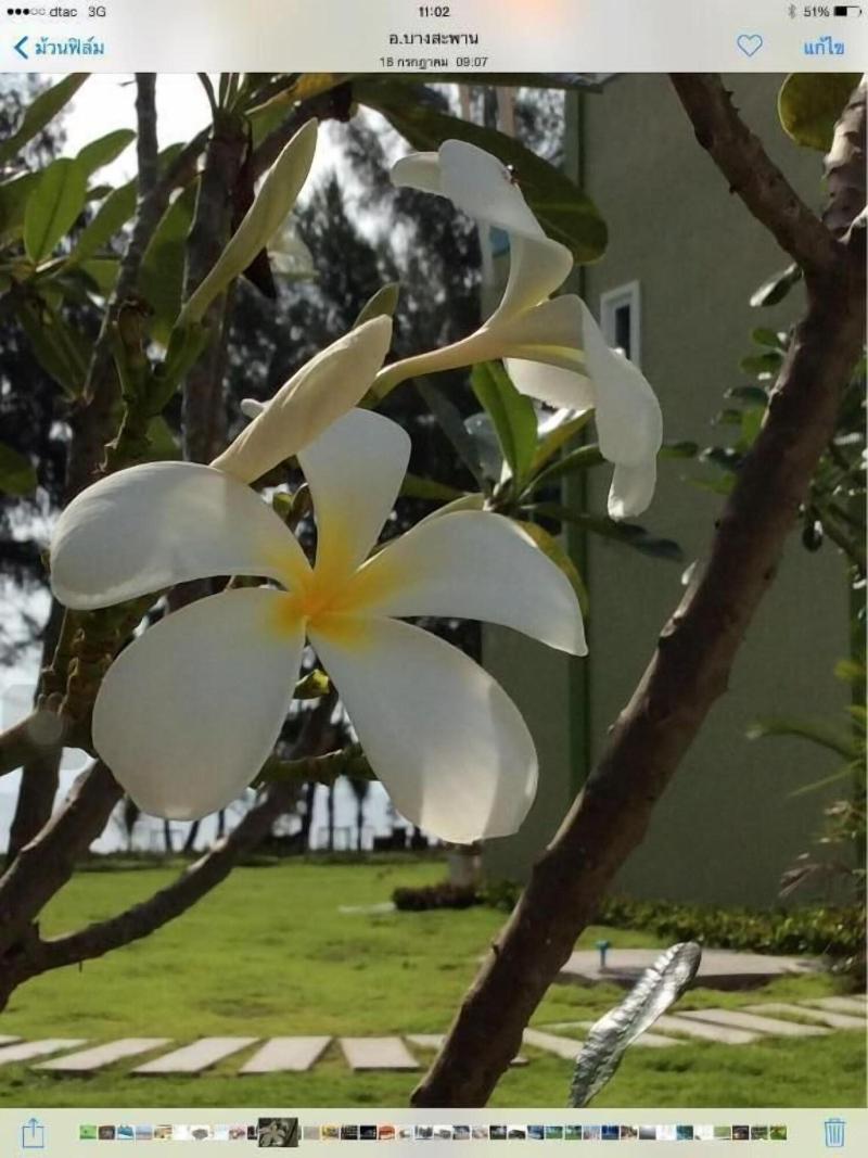 Greenseaview Resort - Genel
