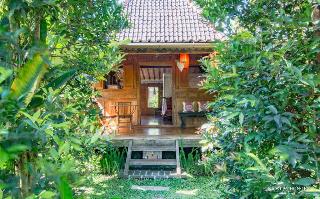 Hati Padi Cottages fotoÄŸrafÄ±