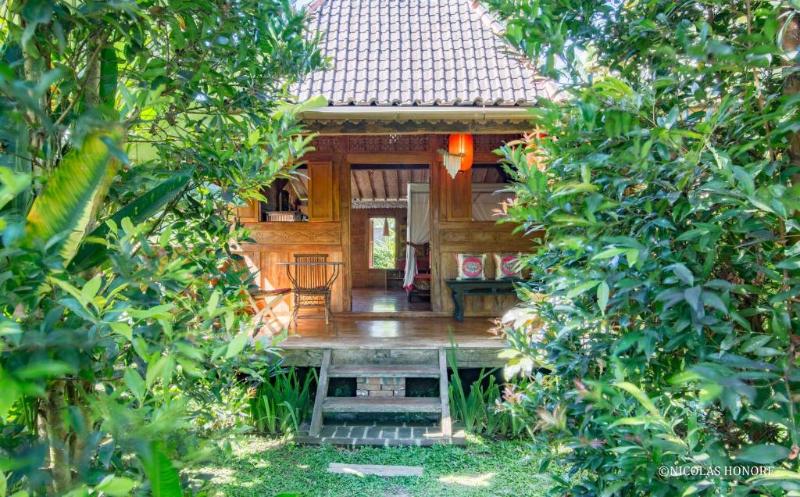 Hati Padi Cottages - Oda