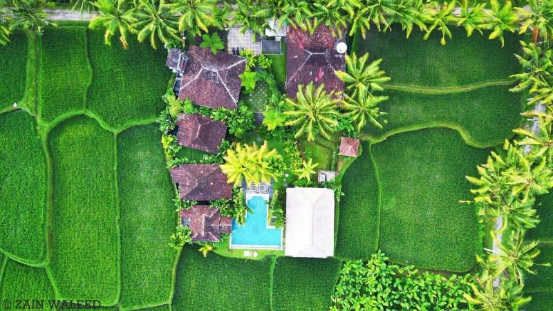 Hati Padi Cottages - Havuz