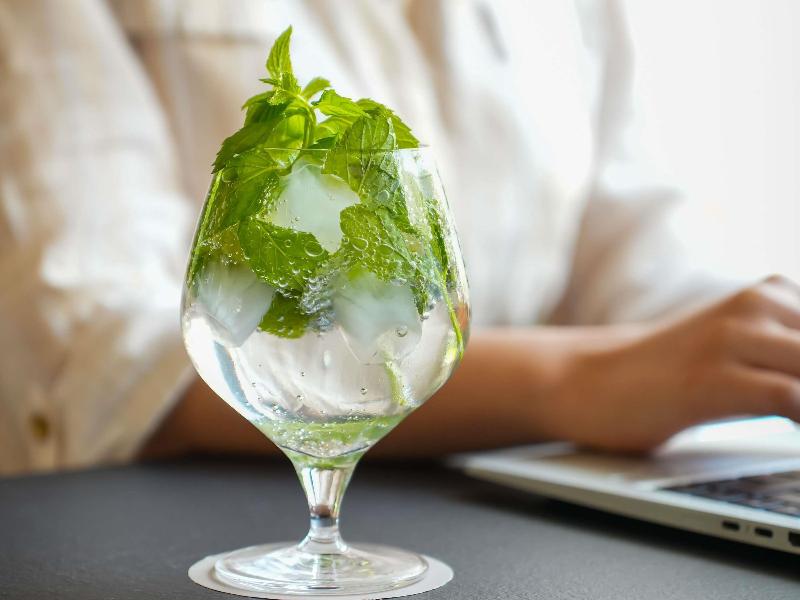 Novotel Tunis Lac - Toplantı