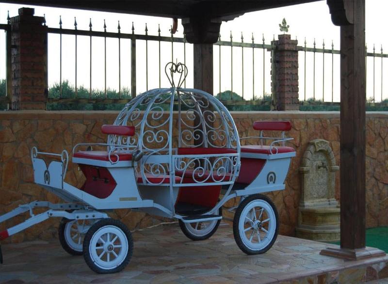 Tenuta Madre Terra Resort - Aktivite