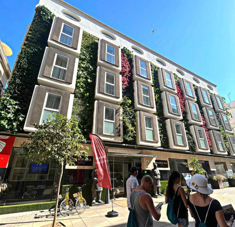 Hotel Mariposa - Genel