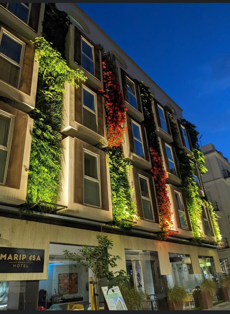 Hotel Mariposa - Genel