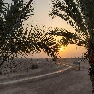 Bab Al Shams Desert Resort & Spa fotoÄŸrafÄ±