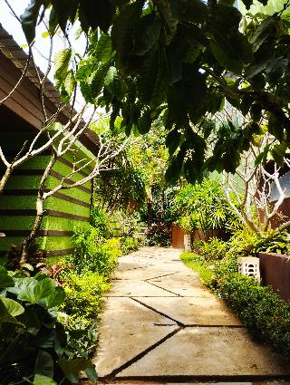 Phuket Jungle Experience Resort otel fotoğrafı
