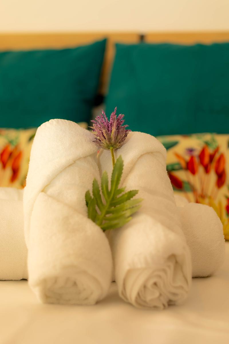 Hostal Ventura Premium - Genel