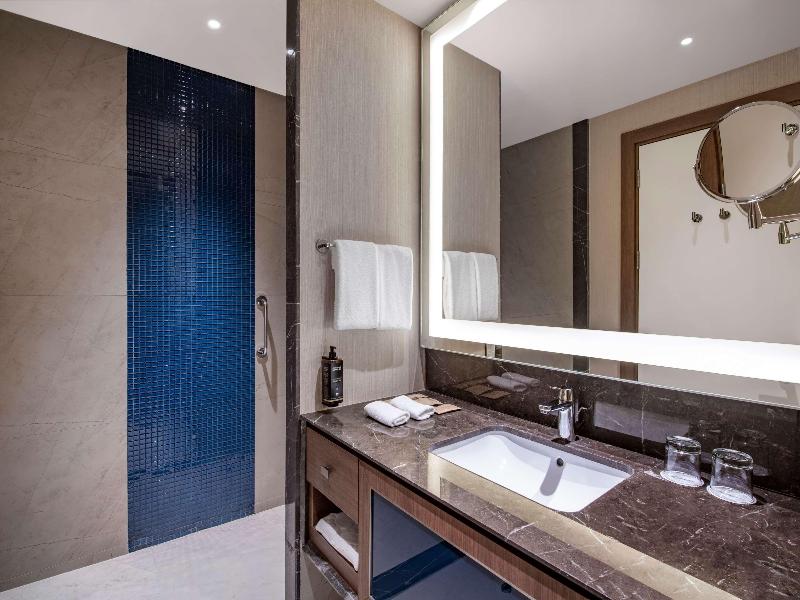 Tbilisi Philharmonic by Mercure Hotel - Genel