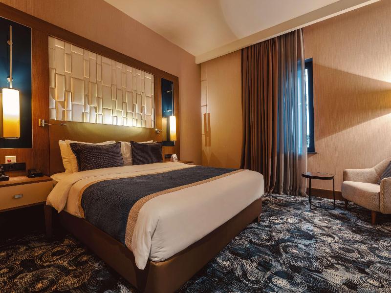 Tbilisi Philharmonic by Mercure Hotel - Oda