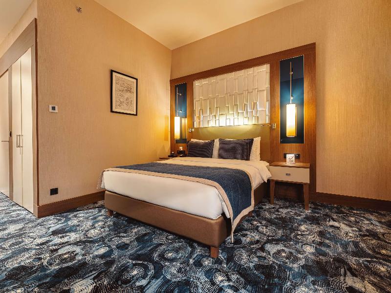 Tbilisi Philharmonic by Mercure Hotel - Oda