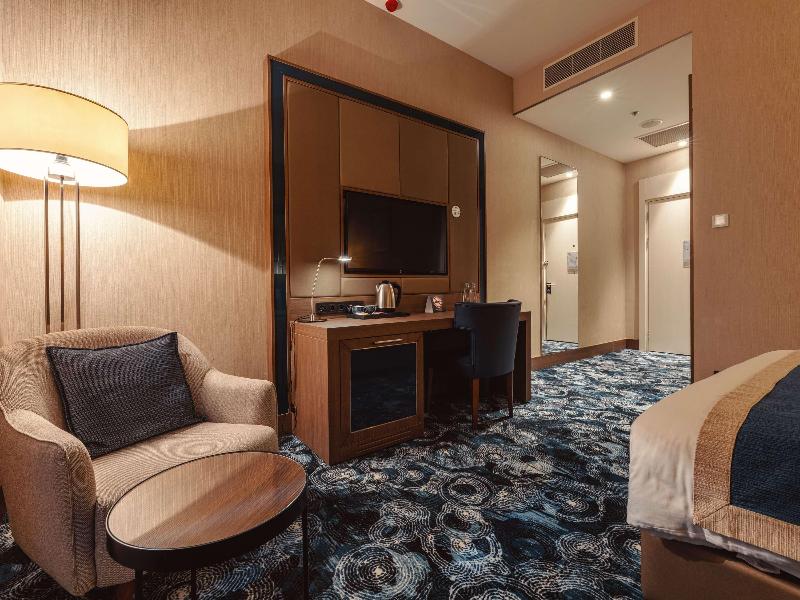 Tbilisi Philharmonic by Mercure Hotel - Oda