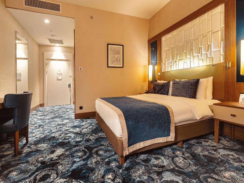 Tbilisi Philharmonic by Mercure Hotel - Oda