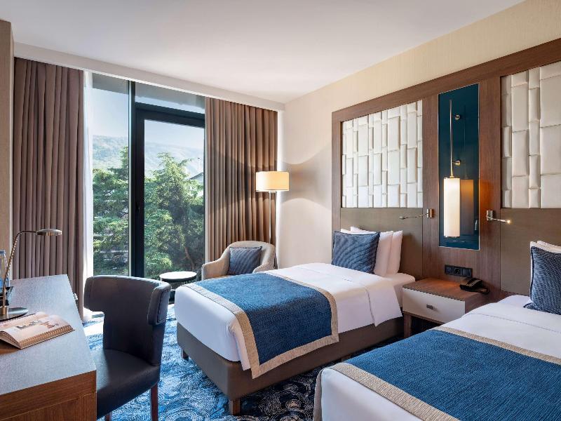 Tbilisi Philharmonic by Mercure Hotel - Oda