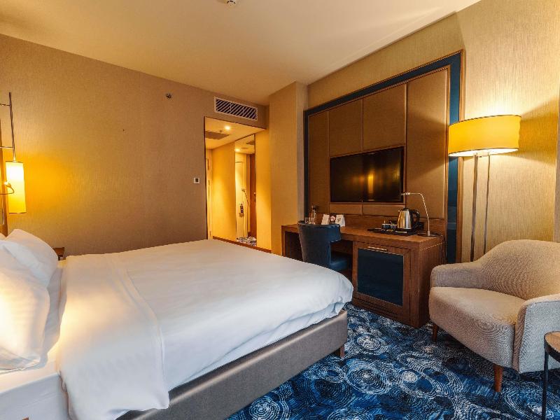 Tbilisi Philharmonic by Mercure Hotel - Oda