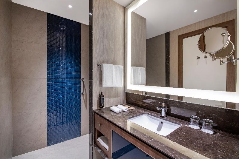 Tbilisi Philharmonic by Mercure Hotel - Oda