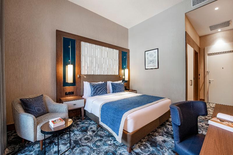 Tbilisi Philharmonic by Mercure Hotel - Oda