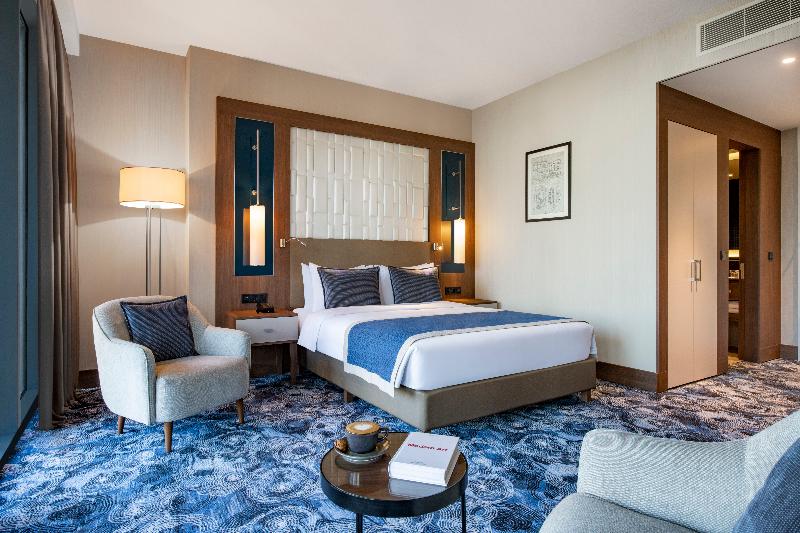 Tbilisi Philharmonic by Mercure Hotel - Oda