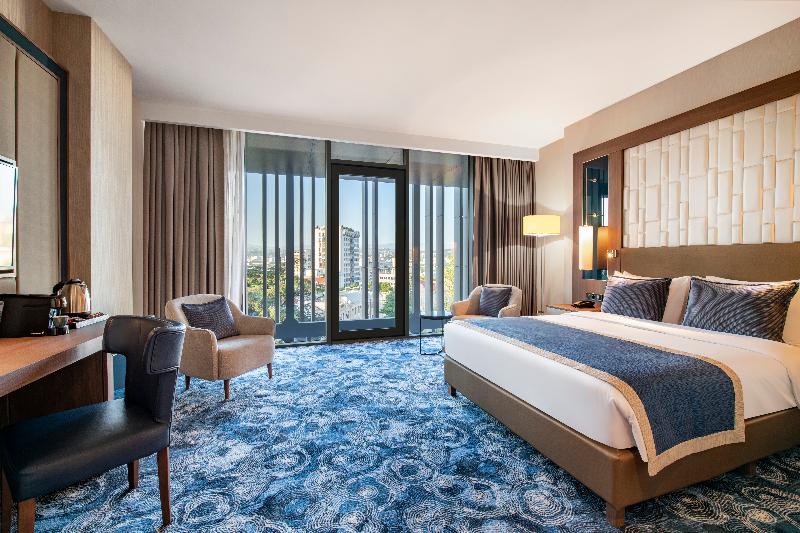 Tbilisi Philharmonic by Mercure Hotel - Oda