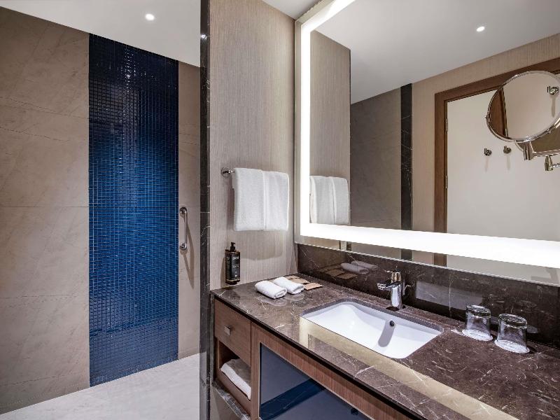 Tbilisi Philharmonic by Mercure Hotel - Oda