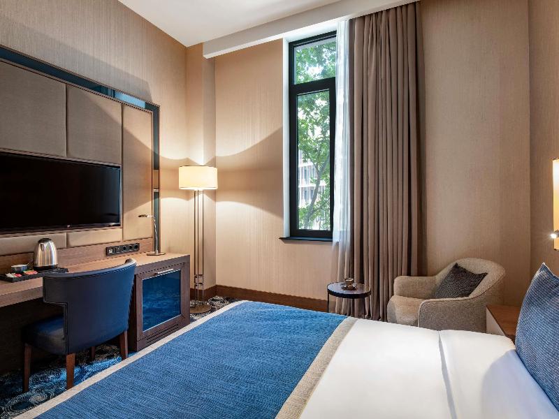 Tbilisi Philharmonic by Mercure Hotel - Oda