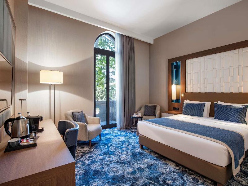 Tbilisi Philharmonic by Mercure Hotel - Oda