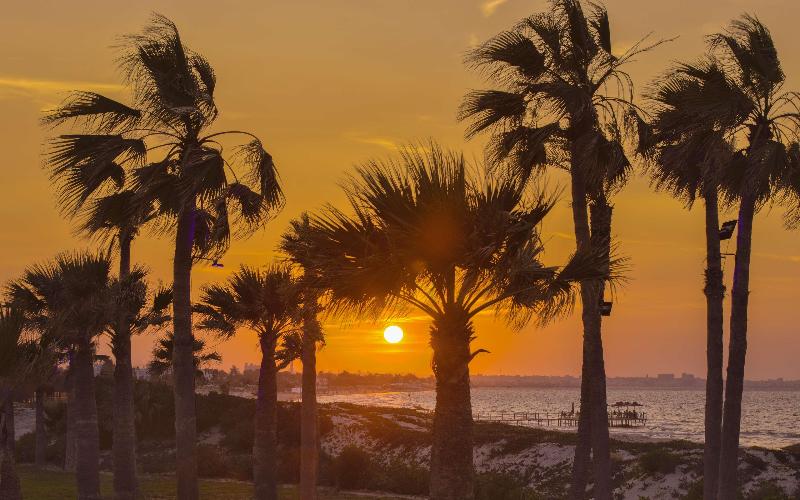 Hilton Skanes Monastir Beach Resort - Genel